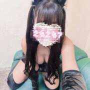 ヒメ日記 2025/06/04 00:56 投稿 こころ タレントCLUB