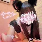 ヒメ日記 2026/02/18 16:27 投稿 こころ タレントCLUB