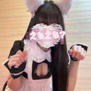 ヒメ日記 2026/02/25 16:22 投稿 こころ タレントCLUB