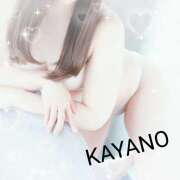 ヒメ日記 2025/07/15 04:36 投稿 かやの 成田人妻講座