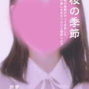 ヒメ日記 2025/04/09 08:00 投稿 ここね 奥鉄オクテツ神奈川店（デリヘル市場グループ）