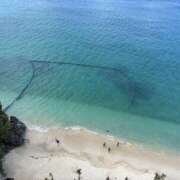 ヒメ日記 2025/09/03 07:00 投稿 ここね 奥鉄オクテツ神奈川店（デリヘル市場グループ）