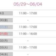 ヒメ日記 2025/05/29 14:22 投稿 しほり 熟女の風俗最終章 新宿店