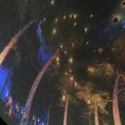 ヒメ日記 2025/10/06 20:52 投稿 しほり 熟女の風俗最終章 新宿店