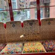 ヒメ日記 2026/03/01 23:12 投稿 しほり 熟女の風俗最終章 新宿店