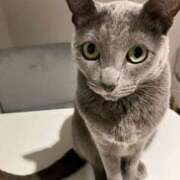 ヒメ日記 2025/06/14 22:01 投稿 しほり 熟女の風俗最終章 池袋店