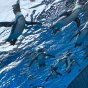 ヒメ日記 2025/09/04 21:02 投稿 しほり 熟女の風俗最終章 池袋店