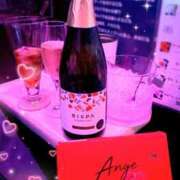 ヒメ日記 2024/12/14 11:31 投稿 みこと 学園祭