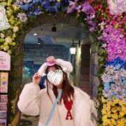 ヒメ日記 2025/02/20 12:16 投稿 みこと 学園祭