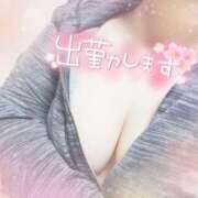 ヒメ日記 2025/05/05 11:49 投稿 ゆり 西川口ちゃんこ