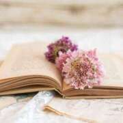 ヒメ日記 2025/04/27 04:17 投稿 愛沢アイカ ヴェルファーレーVELFARREー鹿児島