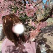 ヒメ日記 2026/03/16 12:15 投稿 こはく♪ プリティーガール