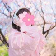 ヒメ日記 2026/03/30 23:25 投稿 こはく♪ プリティーガール