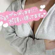 ヒメ日記 2025/11/28 23:02 投稿 たお 錦糸町ちゃんこ