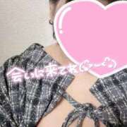 ヒメ日記 2025/11/29 23:52 投稿 たお 錦糸町ちゃんこ