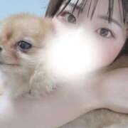 ヒメ日記 2025/10/15 13:20 投稿 ゆな 大阪はまちゃん日本橋店