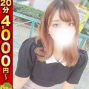 ヒメ日記 2024/12/19 15:00 投稿 みな 大阪はまちゃん日本橋店