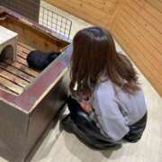 ヒメ日記 2025/01/12 00:20 投稿 みな 大阪はまちゃん日本橋店