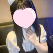 ヒメ日記 2026/02/14 12:36 投稿 きき 大阪はまちゃん日本橋店