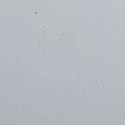 ヒメ日記 2025/02/24 11:47 投稿 ここ 熟女家 十三店