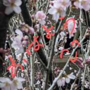 ヒメ日記 2025/03/24 09:20 投稿 ここ 熟女家 十三店