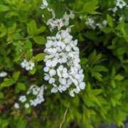 ヒメ日記 2025/03/28 09:48 投稿 ここ 熟女家 十三店