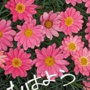 ヒメ日記 2025/05/04 10:01 投稿 ここ 熟女家 十三店