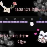 ヒメ日記 2024/11/23 18:06 投稿 おじょう Я’s SPEC2