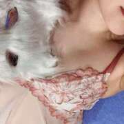 ヒメ日記 2025/02/19 13:20 投稿 おじょう Я’s SPEC2