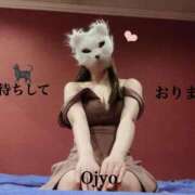 ヒメ日記 2025/03/18 14:39 投稿 おじょう Я’s SPEC2