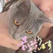 ヒメ日記 2025/01/13 06:33 投稿 るい マダムレア