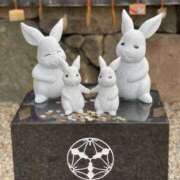 ヒメ日記 2025/02/19 12:06 投稿 今井 まこと 人妻の雫 倉敷店