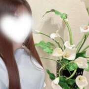 ヒメ日記 2026/08/13 22:57 投稿 葉月 人妻楼 木更津店