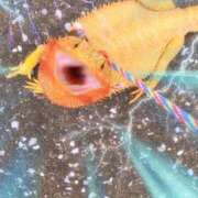 ヒメ日記 2025/08/09 16:40 投稿 京子 府中ダービー