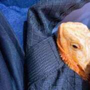 ヒメ日記 2025/08/19 19:23 投稿 京子 府中ダービー