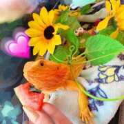 ヒメ日記 2025/09/01 22:53 投稿 京子 府中ダービー