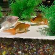 ヒメ日記 2025/09/19 17:23 投稿 京子 府中ダービー