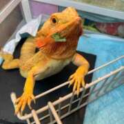 ヒメ日記 2025/10/05 15:23 投稿 京子 府中ダービー