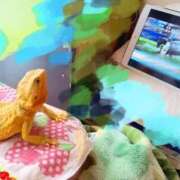 京子 いま向かってますよー≡≡(ง ᐛ )ว✨✨ 府中ダービー