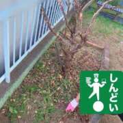 ヒメ日記 2025/12/10 13:33 投稿 京子 府中ダービー