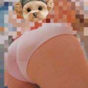 ヒメ日記 2026/01/22 20:05 投稿 曽我 雅恵 人妻セレブ宮殿