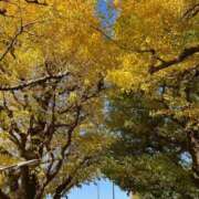 ヒメ日記 2025/12/13 22:50 投稿 吉田なみ ザイオン 会員制アロマエステ