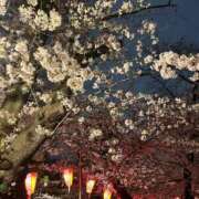 吉田なみ ついに私も、、 ザイオン 会員制アロマエステ