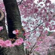 吉田なみ お散歩日和😊☘️ ザイオン 会員制アロマエステ