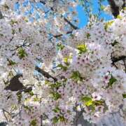 ヒメ日記 2025/04/04 23:45 投稿 こころ One More 奥様　西川口店