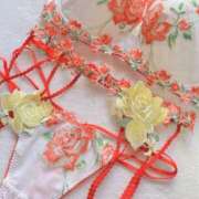 ヒメ日記 2025/06/29 08:44 投稿 つくし 神戸3040（神戸サーティフォーティ）