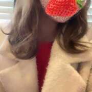 ヒメ日記 2025/04/03 14:57 投稿 うた ハニープラザ（ユメオト）