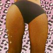 ヒメ日記 2024/12/14 07:59 投稿 白羽萌音(しろはもね) 九州熟女　熊本店