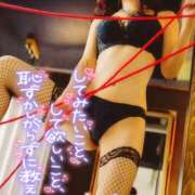 ヒメ日記 2025/01/23 09:00 投稿 れい 玉乱☆痴（たまらんち）