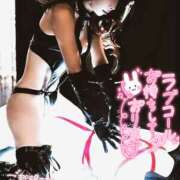 ヒメ日記 2025/02/20 09:00 投稿 れい 玉乱☆痴（たまらんち）